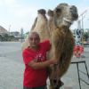 CamelCollectors avatar Vladimir Gadziatzkiy