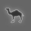 CamelCollectors avatar Jim Bim