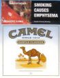 CamelCollectors https://www.thecamelcollectors.com/assets/images/pack-preview/AU-003-03.jpg