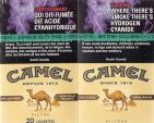 CamelCollectors https://www.thecamelcollectors.com/assets/images/pack-preview/CA-004-50.jpg