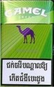CamelCollectors https://www.thecamelcollectors.com/assets/images/pack-preview/CB-001-00-6a6c81a52e018.jpg