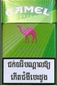 CamelCollectors https://www.thecamelcollectors.com/assets/images/pack-preview/CB-001-02-6a6c81d7e40c2.jpg
