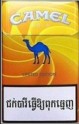 CamelCollectors https://www.thecamelcollectors.com/assets/images/pack-preview/CB-001-04-6a6c82045fd64.jpg
