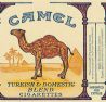 CamelCollectors https://www.thecamelcollectors.com/assets/images/pack-preview/CY-000-01.jpg