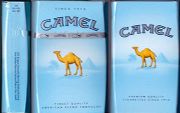 CamelCollectors https://www.thecamelcollectors.com/assets/images/pack-preview/DF-065-07.jpg