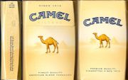 CamelCollectors https://www.thecamelcollectors.com/assets/images/pack-preview/DF-070-27.jpg