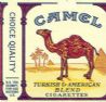CamelCollectors https://www.thecamelcollectors.com/assets/images/pack-preview/DF-100-11.jpg