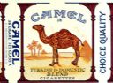 CamelCollectors https://www.thecamelcollectors.com/assets/images/pack-preview/DF-100-23.jpg