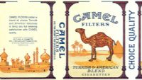 CamelCollectors https://www.thecamelcollectors.com/assets/images/pack-preview/DF-100-40.jpg