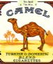 CamelCollectors https://www.thecamelcollectors.com/assets/images/pack-preview/DK-001-08.jpg