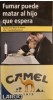 CamelCollectors https://www.thecamelcollectors.com/assets/images/pack-preview/ES-065-04.jpg