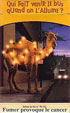 CamelCollectors https://www.thecamelcollectors.com/assets/images/pack-preview/FR-025-06.jpg