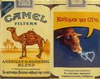 CamelCollectors https://www.thecamelcollectors.com/assets/images/pack-preview/GR-011-05-68eb8a67e0374.jpg