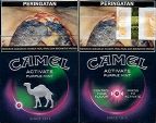 CamelCollectors https://www.thecamelcollectors.com/assets/images/pack-preview/ID-002-09.jpg