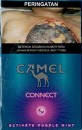 CamelCollectors https://www.thecamelcollectors.com/assets/images/pack-preview/ID-006-22-6a4389a8dee3a.jpg