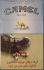 CamelCollectors https://www.thecamelcollectors.com/assets/images/pack-preview/IR-001-03-6ac8f62458ff4.jpg