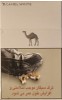 CamelCollectors https://www.thecamelcollectors.com/assets/images/pack-preview/IR-001-04-6ac8f63aeaff3.jpg