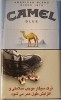 CamelCollectors https://www.thecamelcollectors.com/assets/images/pack-preview/IR-002-02-6ac8f6bb86eb0.jpg