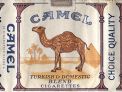 CamelCollectors https://www.thecamelcollectors.com/assets/images/pack-preview/IT-000-03.jpg