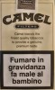 CamelCollectors https://www.thecamelcollectors.com/assets/images/pack-preview/IT-005-04-69ecde7cc8a2d.jpg