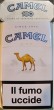 CamelCollectors https://www.thecamelcollectors.com/assets/images/pack-preview/IT-007-44-69ee0c92d68b9.jpg
