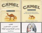 CamelCollectors https://www.thecamelcollectors.com/assets/images/pack-preview/JO-002-01.jpg