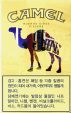 CamelCollectors https://www.thecamelcollectors.com/assets/images/pack-preview/KR-011-02.jpg