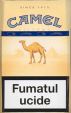 CamelCollectors https://www.thecamelcollectors.com/assets/images/pack-preview/MD-006-01.jpg