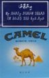 CamelCollectors https://www.thecamelcollectors.com/assets/images/pack-preview/MV-002-07.jpg