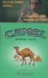 CamelCollectors https://www.thecamelcollectors.com/assets/images/pack-preview/MX-005-55.jpg
