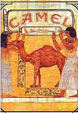 CamelCollectors https://www.thecamelcollectors.com/assets/images/pack-preview/MX-011-03.jpg