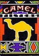 CamelCollectors https://www.thecamelcollectors.com/assets/images/pack-preview/MX-011-06.jpg