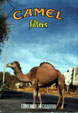 CamelCollectors https://www.thecamelcollectors.com/assets/images/pack-preview/MX-027-04.jpg