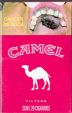 CamelCollectors https://www.thecamelcollectors.com/assets/images/pack-preview/MX-084-07.jpg