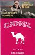 CamelCollectors https://www.thecamelcollectors.com/assets/images/pack-preview/MX-084-13.jpg