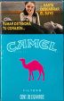 CamelCollectors https://www.thecamelcollectors.com/assets/images/pack-preview/MX-084-15.jpg