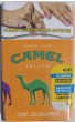 CamelCollectors https://www.thecamelcollectors.com/assets/images/pack-preview/MX-100-13-689b8737862e9.jpg