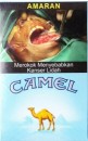 CamelCollectors https://www.thecamelcollectors.com/assets/images/pack-preview/MY-004-04-6a43879a241ed.jpg