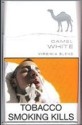 CamelCollectors https://www.thecamelcollectors.com/assets/images/pack-preview/NM-001-13-6a6c80a155558.jpg