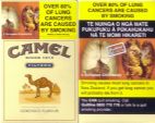 CamelCollectors https://www.thecamelcollectors.com/assets/images/pack-preview/NZ-002-01.jpg