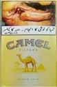 CamelCollectors https://www.thecamelcollectors.com/assets/images/pack-preview/PK-001-02-6a6c7f7bf32ba.jpg
