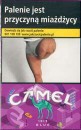 CamelCollectors https://www.thecamelcollectors.com/assets/images/pack-preview/PL-032-03.jpg