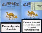 CamelCollectors https://www.thecamelcollectors.com/assets/images/pack-preview/RO-005-02.jpg