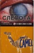 CamelCollectors https://www.thecamelcollectors.com/assets/images/pack-preview/RU-032-21-6aa15589aa108.jpg