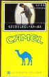 CamelCollectors https://www.thecamelcollectors.com/assets/images/pack-preview/TW-003-02.jpg