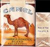 CamelCollectors https://www.thecamelcollectors.com/assets/images/pack-preview/US-011-70.jpg