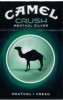 CamelCollectors https://www.thecamelcollectors.com/assets/images/pack-preview/US-021-82-6aa42a6a93901.jpg