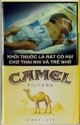 CamelCollectors https://www.thecamelcollectors.com/assets/images/pack-preview/VI-001-00-6a6c83b87212d.jpg