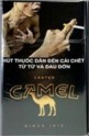 CamelCollectors https://www.thecamelcollectors.com/assets/images/pack-preview/VI-001-01-6a6c84056a5d6.jpg