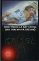 CamelCollectors https://www.thecamelcollectors.com/assets/images/pack-preview/VI-001-03-6a7875759d9f6.jpg